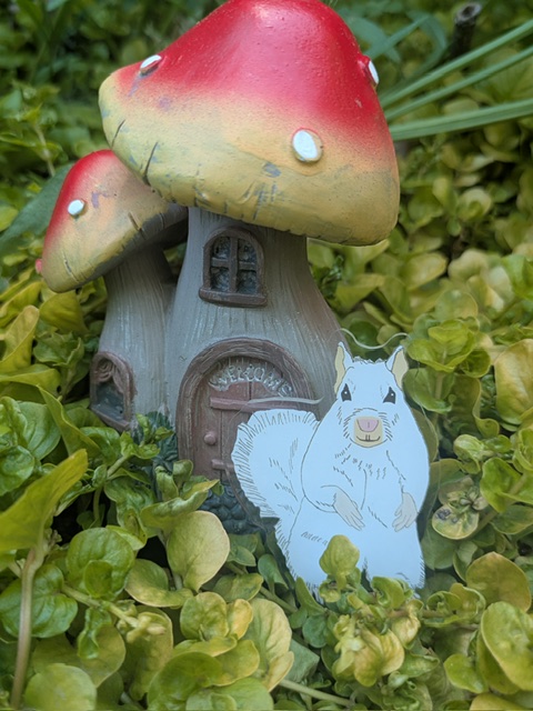 Nimbus pin
