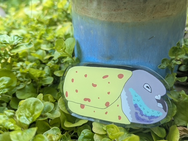 Burrito Pigeon pin - Image 4