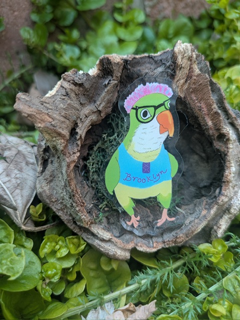 Brooklyn Parrot pin - Image 2