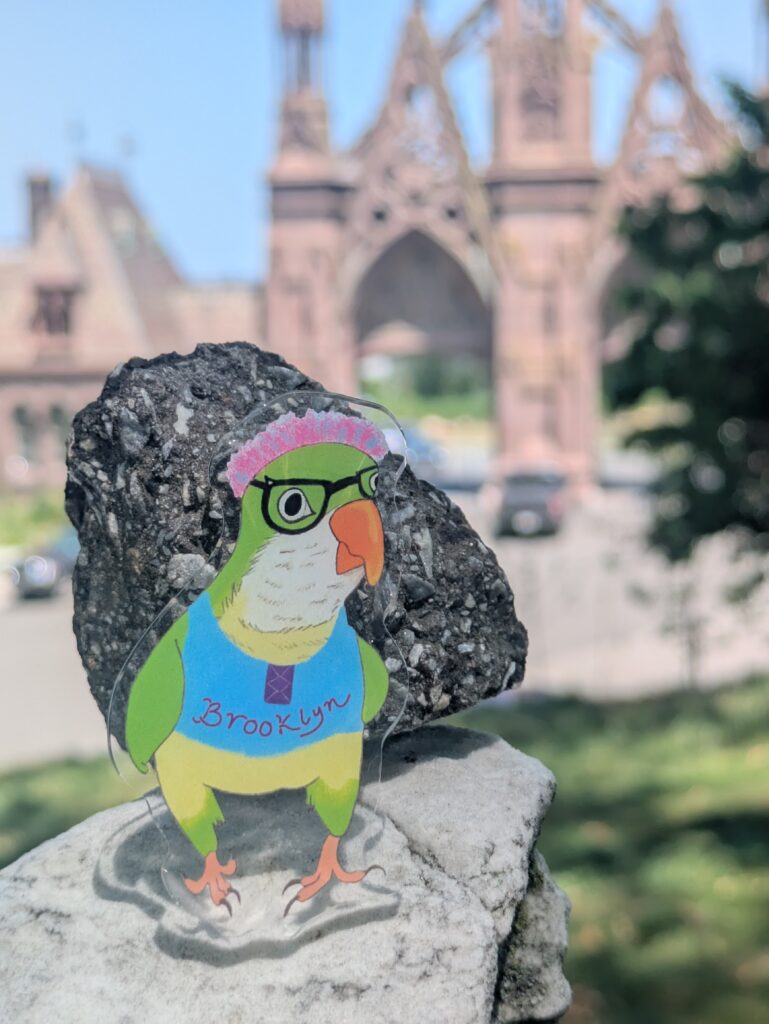Brooklyn Parrot pin