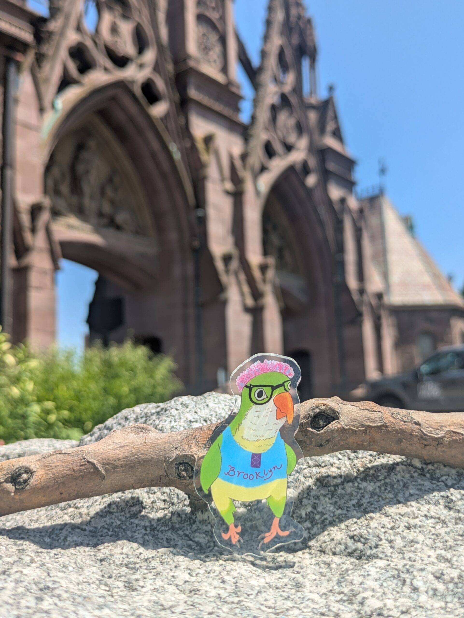 Brooklyn Parrot pin - Image 5